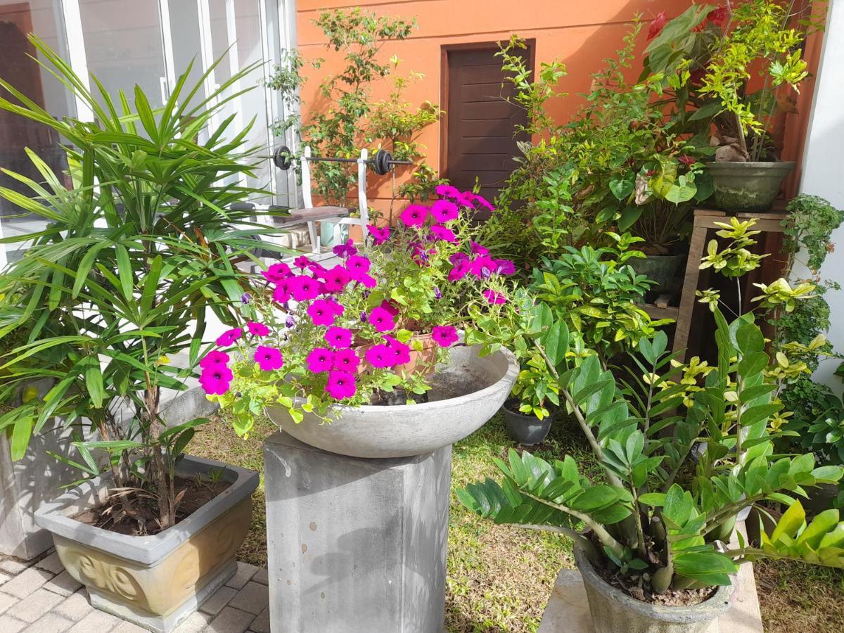 Hotel Marine At Negombo Beach Νεγκόμπο Εξωτερικό φωτογραφία